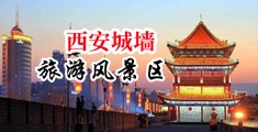 xxxx阴道玩弄中国陕西-西安城墙旅游风景区