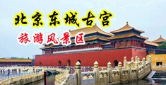 白浆99抽搐潮喷g中国北京-东城古宫旅游风景区