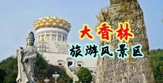 男插男菊花电影中国浙江-绍兴大香林旅游风景区